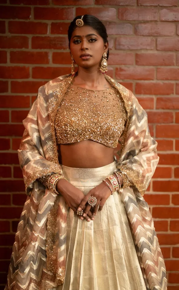 BRIDAL KANJEEVARAM HALF SAREE IN GOLD AND SILVER