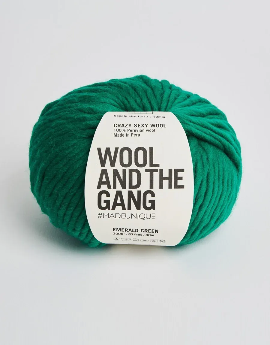 Wool and the Gang: Crazy Sexy Wool